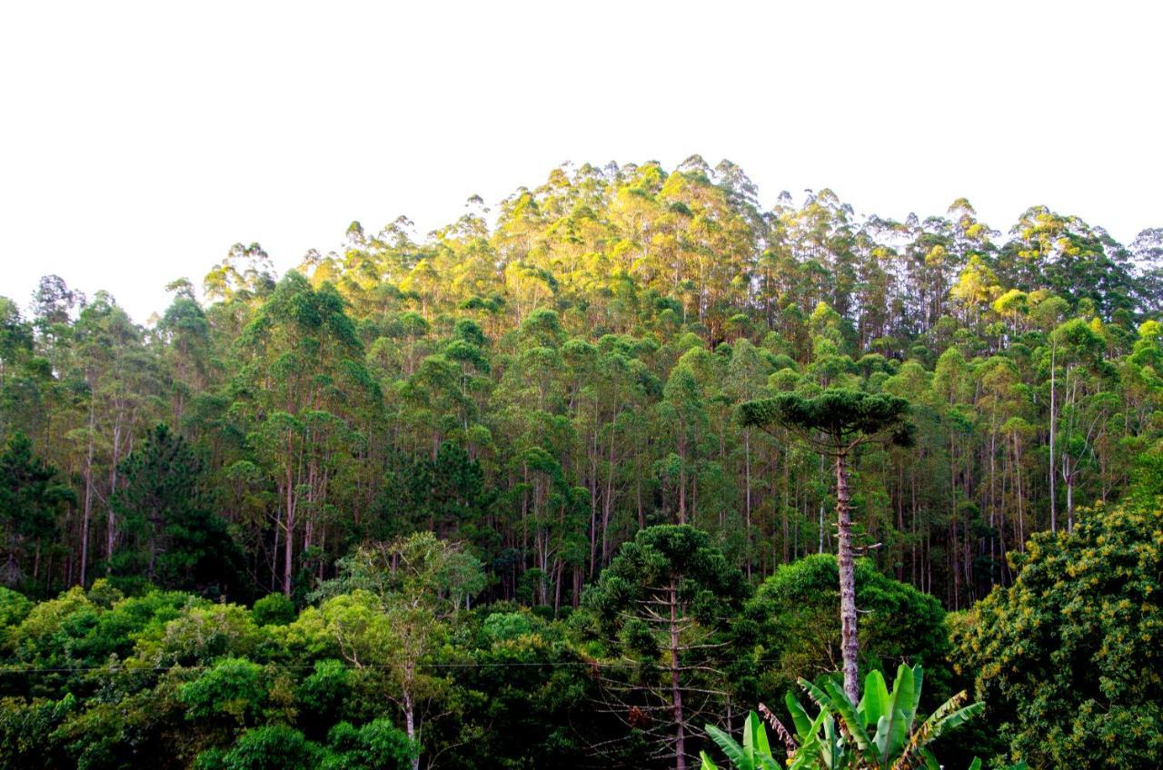 Chale Vista Da Mata Villa Visconde De Maua Ngoại thất bức ảnh